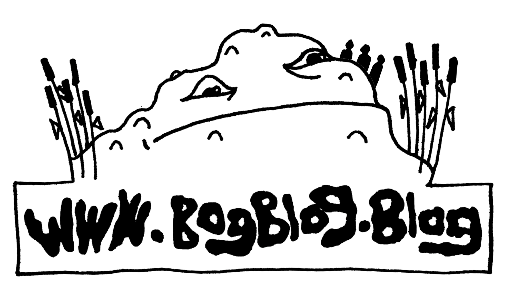 Bog Blog